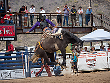 P3293203_1774970266_69cbe59a986e9