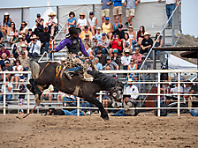 P3293207_1774970268_69cbe59c7d6dc