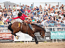 P3293221_1774970270_69cbe59e3b18e