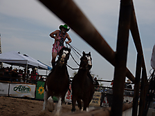 P3293226_1774970272_69cbe5a09c7a0