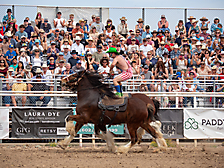 P3293230_1774970274_69cbe5a28ebd8