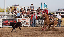 P3293231_1774970275_69cbe5a37b862