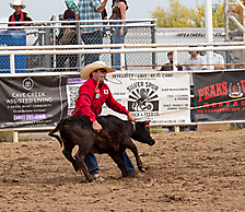 P3293238_1774970276_69cbe5a41bc5e