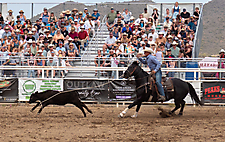 P3293239_1774970277_69cbe5a50cf3b