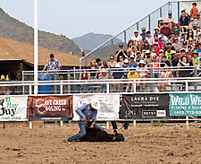 P3293275_1774970278_69cbe5a6ab804