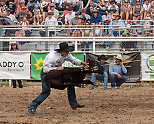 P3293287_1774970280_69cbe5a88b58f