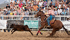 P3293290_1774970281_69cbe5a98e9a2