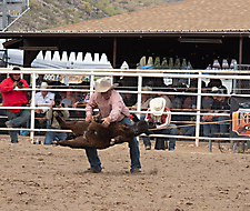 P3293297_1774970283_69cbe5ab479cd