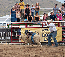 P3293301_1774970284_69cbe5ac49939