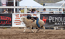 P3293303_1774970285_69cbe5ad0fb10