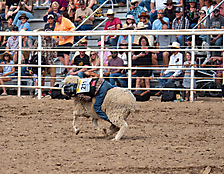 P3293315_1774970286_69cbe5aea7ea5