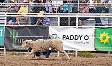 P3293325_1774970287_69cbe5af23be1