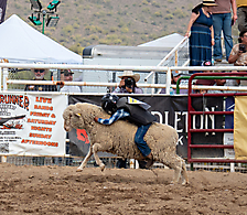 P3293338_1774970288_69cbe5b0208e2