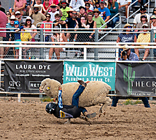 P3293348_1774970289_69cbe5b111e46