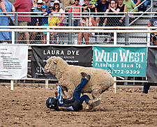 P3293349_1774970290_69cbe5b225868