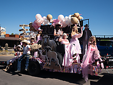 P3211511_1774469458_69c441528560e