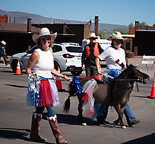 P3211529_1774469470_69c4415e050f8