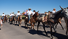 P3211585_1774469496_69c44178cba19