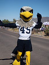 P3211592_1774469500_69c4417c6c5f5