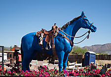 P3211595_1774469501_69c4417dad509