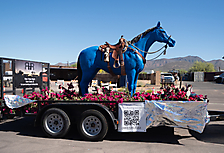 P3211596_1774469502_69c4417e28690