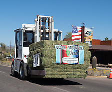 P3211598_1774469502_69c4417ee7ff1