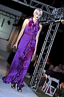 celebrate-phoenix-2009-hotel-valley-ho_41