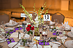 chrysalishonorsthehome_arizonabiltmore_-17