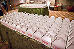 chrysalishonorsthehome_arizonabiltmore_-328