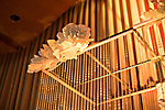chrysalishonorsthehome_arizonabiltmore_-5