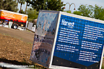 IMG_0502 LR LR