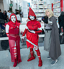 IMG_2568
