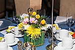 zimg_0042-01
