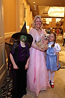 2img_0554-01