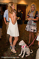 IMG_2543 LR LR