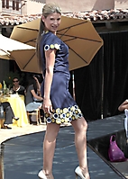 cortneys-fashion-show-and-luncheon-scottsdale-2010_40