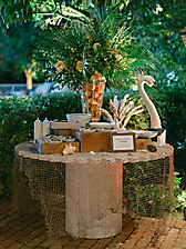 Costa_Palmas_Jarrod_Photo-22_1761672685_6900fdeda1926