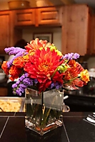 cystic-fibrosis-foundation-cocktail-party-scottsdale-2009_14