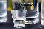 Devour Bartender Comp113