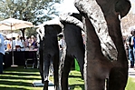 devoured-culinary-classic-people-phoenix-2010_25