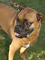 IMG_9761 LR