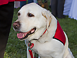 IMG_9762 LR
