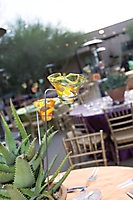 0361dinner_on_the_desert