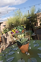0372dinner_on_the_desert