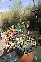 0373dinner_on_the_desert