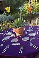 0378dinner_on_the_desert