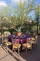 0380dinner_on_the_desert