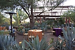 0382dinner_on_the_desert