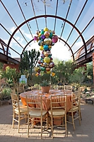 0387dinner_on_the_desert