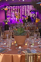 0634dinner_on_the_desert